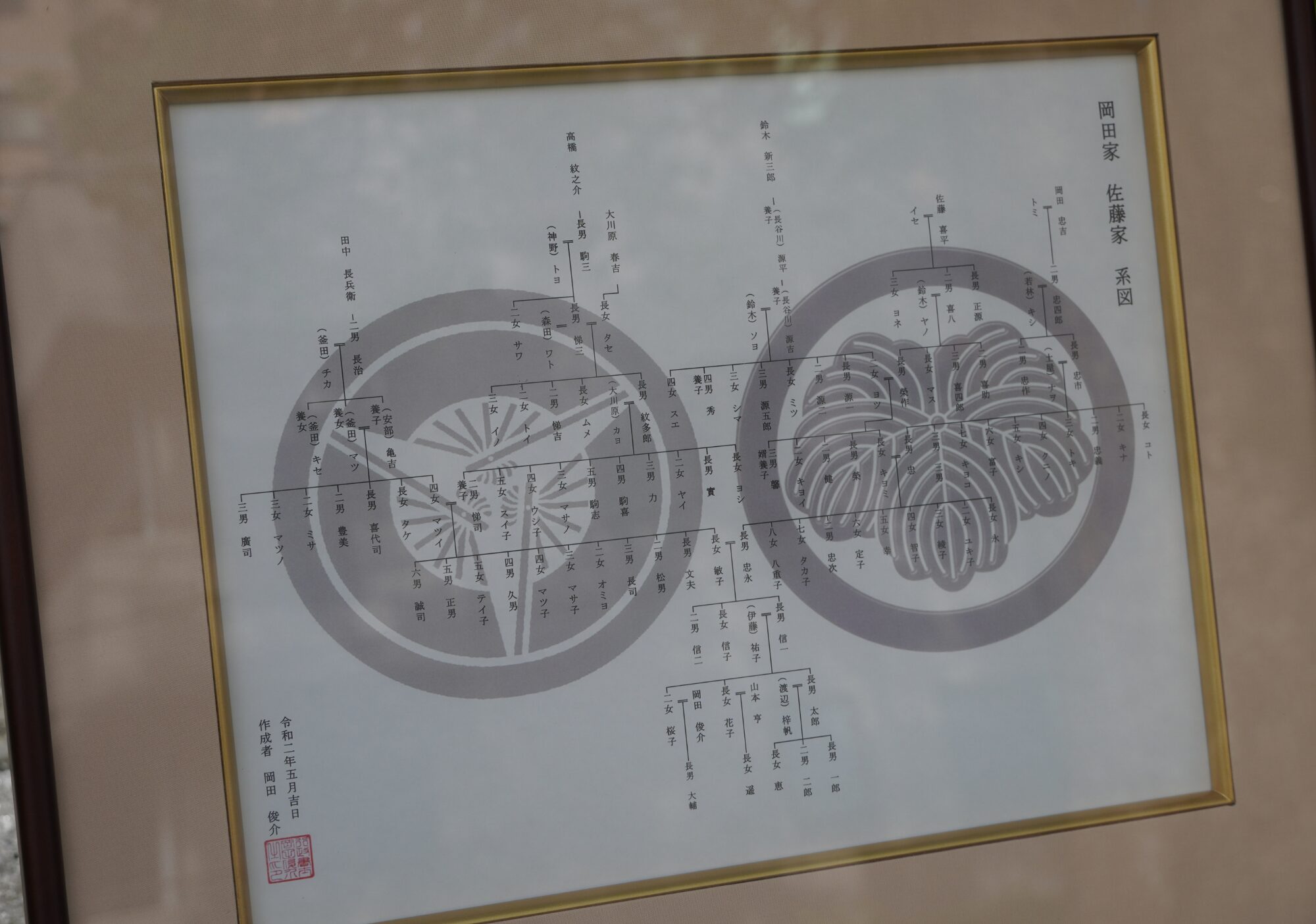 戸籍をたどって家系図を作成していく様子